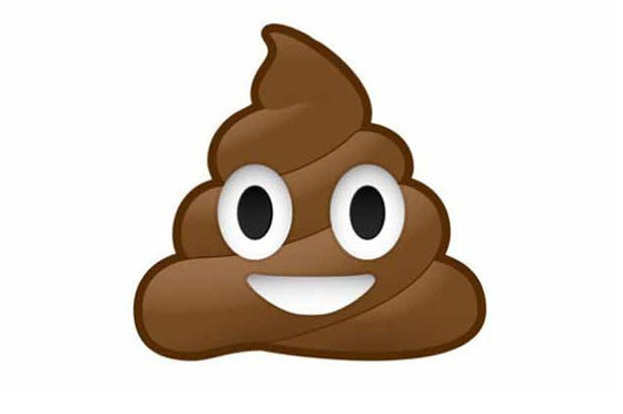 POOP EMOJI
